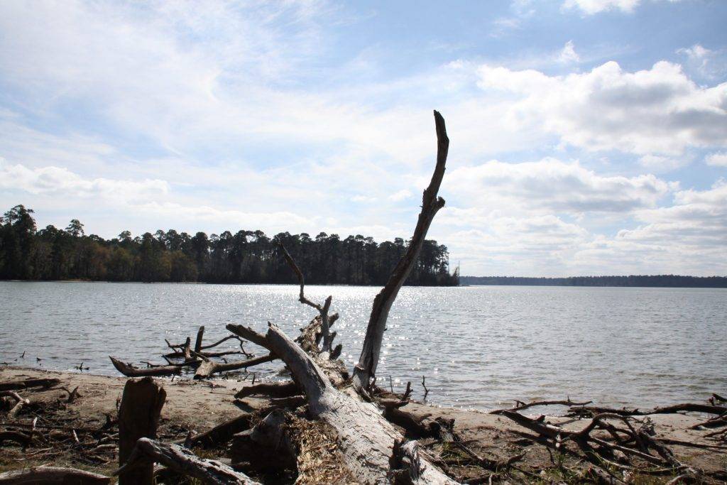 montgomery tx lakeside conroe